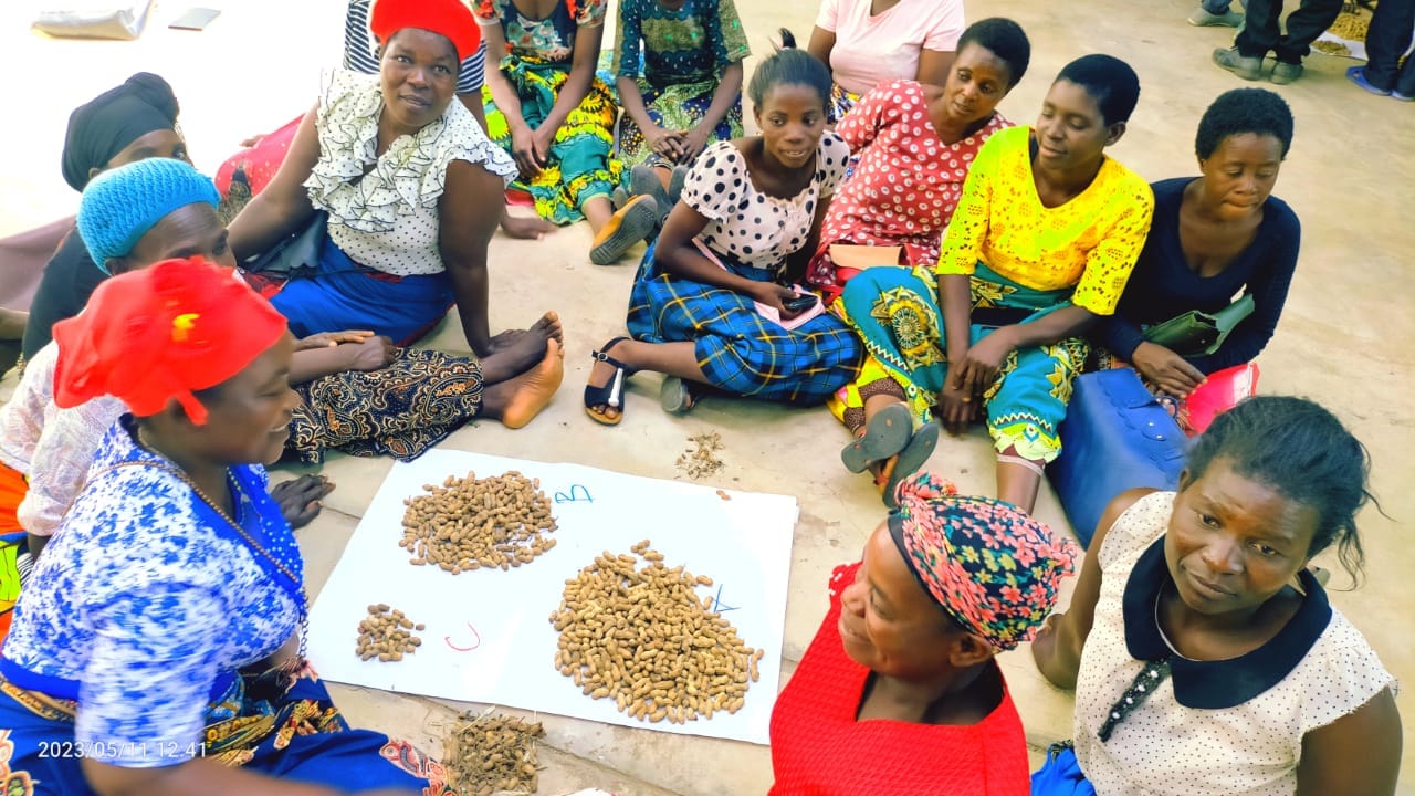 Groundnut grading training in Mchinji